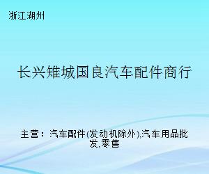 長興雉城國良汽車配件商行 專業(yè)汽車配件的可靠選擇