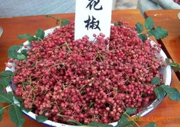 萊蕪市萊城區嘉譽農副產品購銷中心調味香料與特色農副產品全覽