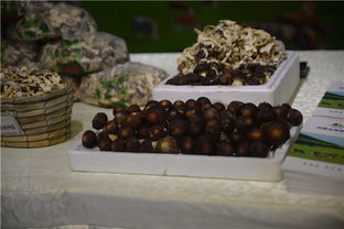 攜手豐臺，共繪鄉村振興新畫卷——豐臺區扶貧協作地區農副產品推介活動紀實